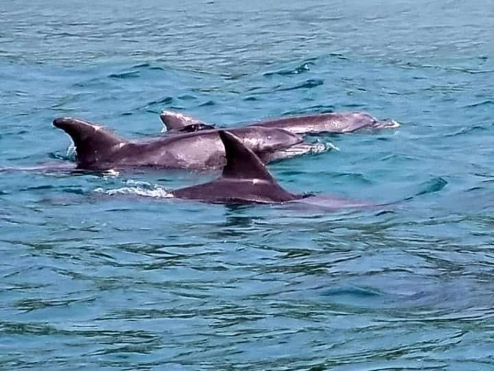 Inhaca Kanimambo Lodge Bagian luar foto